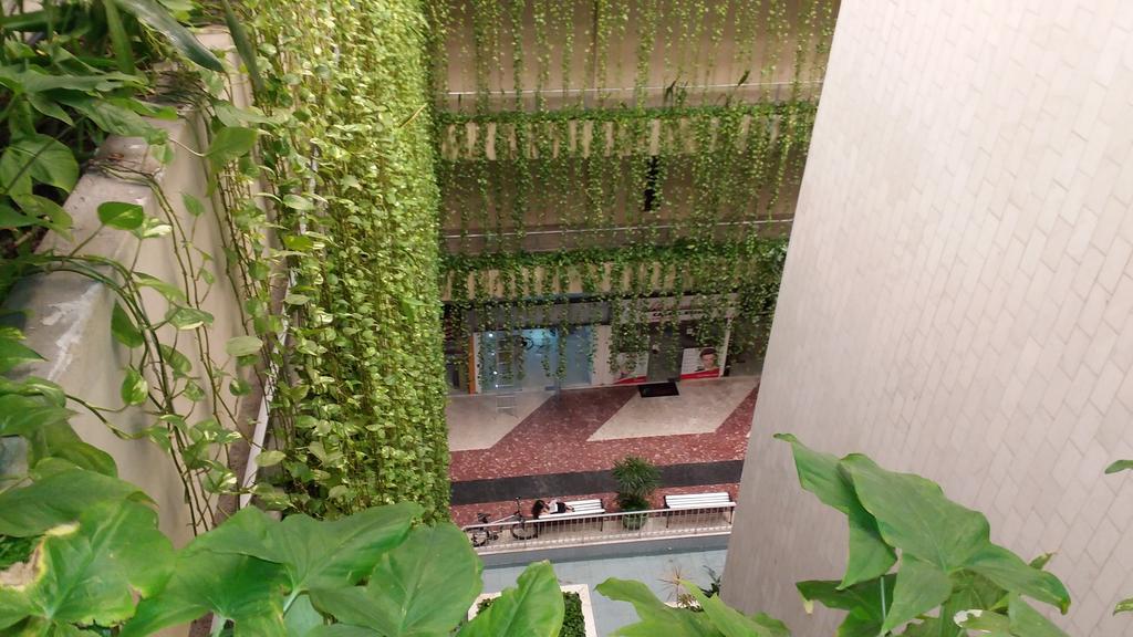 Apartment Summer Dream